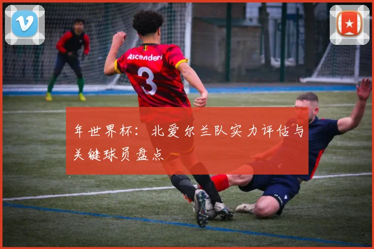 年世界杯:北爱尔兰队实力评估与关键球员盘点
